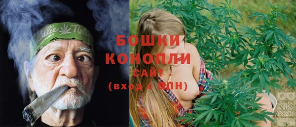 трава Новозыбков