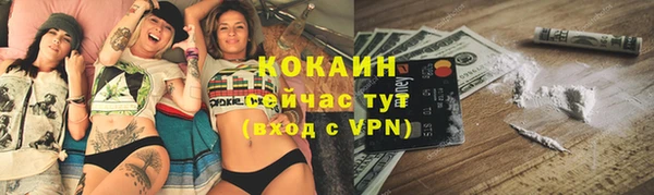 трава Новозыбков