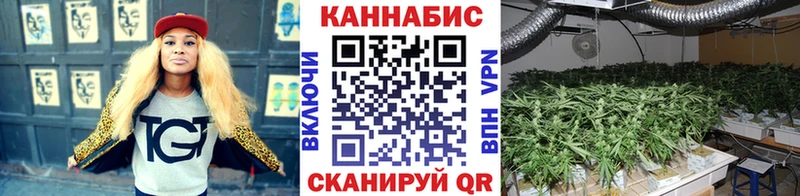 Бошки Шишки семена  Электроугли 